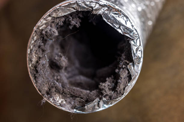 Best Commercial Air Duct Cleaning  in Elizabeth Lake, CA